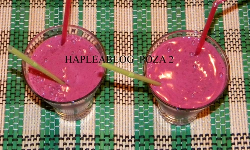 sorbeto cu fructe de padure 2 jpeg