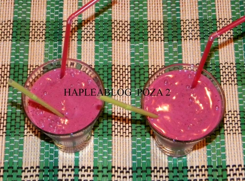 sorbeto cu fructe de padure 2 jpeg