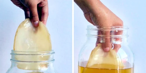 Ce se întâmplă corpului tău dacă bei 2 pahare de Kombucha pe zi