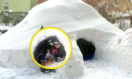 iglu32 peglob 3 jpeg