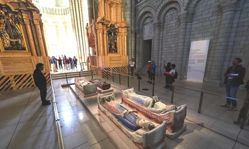 Regii profimedia 0909841553 jpg