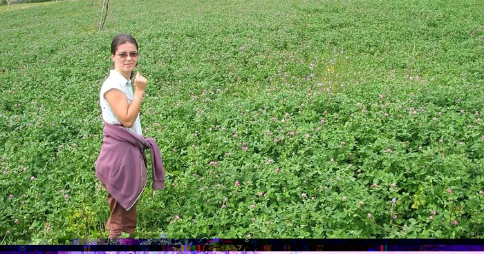 Andreea, în lanul de lucernă