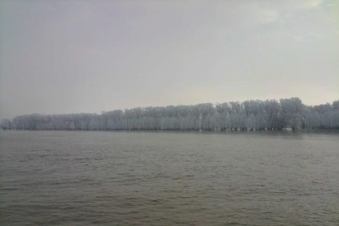 
    Nici o navă nu mai trece pe Dunăre în zona Moldova Veche  