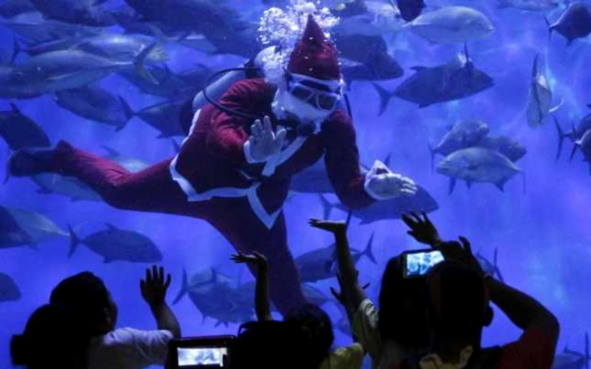Vizitatori saluta un scafandru profesionist imbracat intr-un costum de Mos Craciun care inoata intr-un acvariu gigant ca parte a sarbatorii Craciunului la Parcul Oceanic Manila Filipine foto reuters