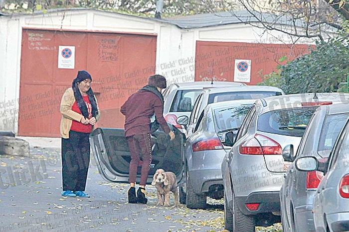 Daniela a ieşit de la  veterinar cu Dani în  lesă şi cu analizele  acestuia la subraţ ( FOTOGRAFII: BRIGADA DIVERSE)