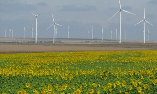 eoliene jpeg