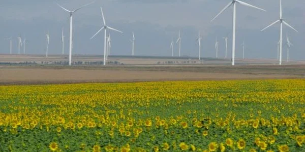 eoliene jpeg