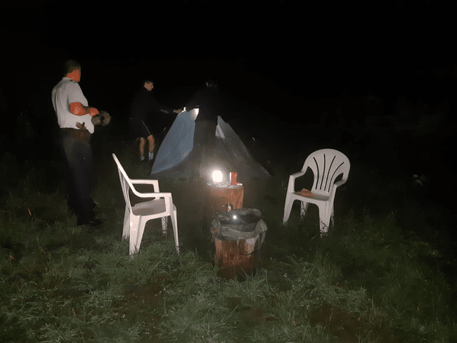 Turiști germani campați cu cortul, „vizitați” de urs lângă o pădure din Argeș
