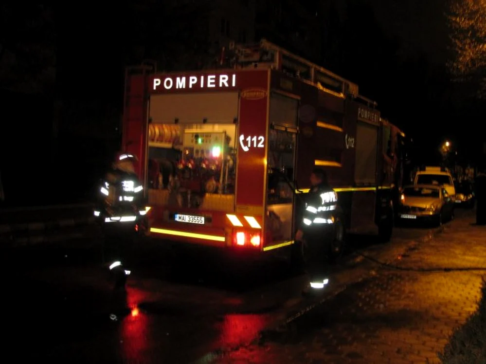 Pompierii au incercat sa stinga incendiul
