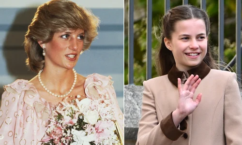 Colaj Diana Charlotte jpg