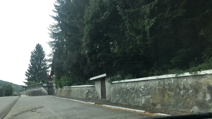 mesaj anti psd bistrita 3