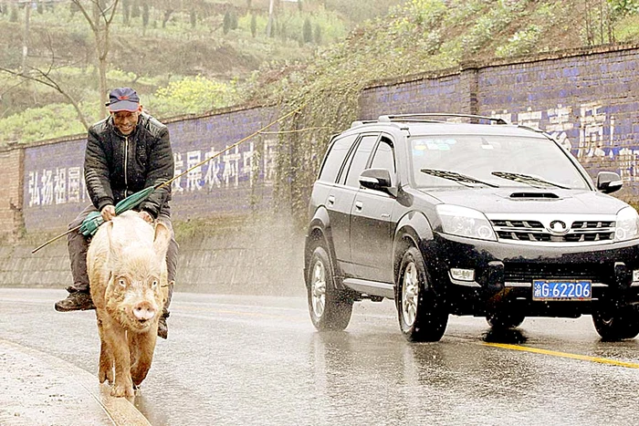 Purcelul Huotui nu iese din cuvântul stăpânului