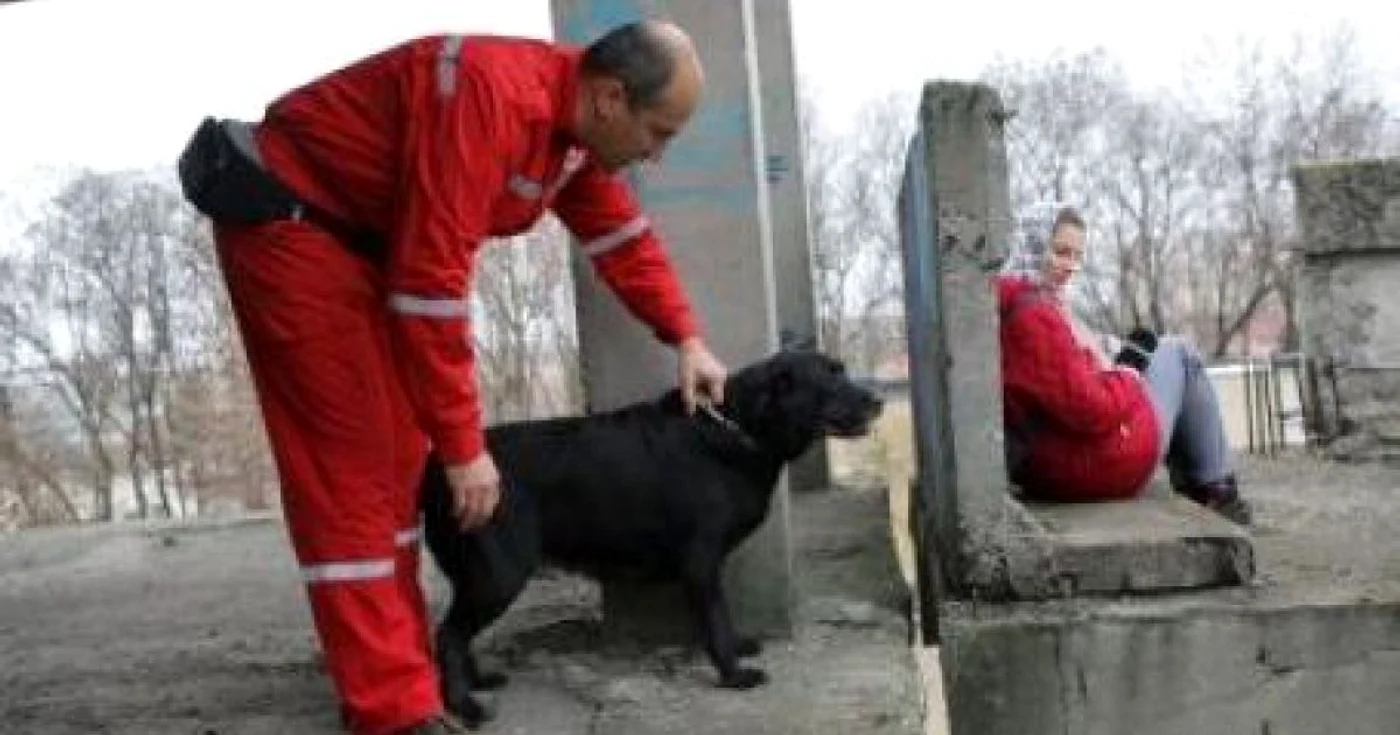 În prezent la salvarea oamenilor de sub dărâmături se folosesc câini