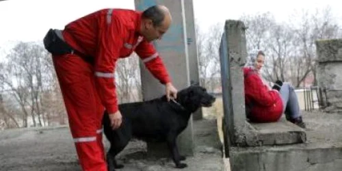 În prezent la salvarea oamenilor de sub dărâmături se folosesc câini