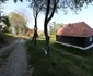 Transapuseana, foto Daniel Guță ADEVĂRUL (81) JPG