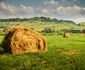 Mocănița de pe Valea Hârtibaciului Sibiu Foto Asociația Prietenii Mocăniței 