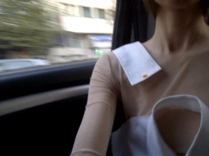 Iulia Albu, o nouă apariţie şoc! FOTO: Facebook