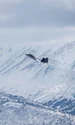 Avion de vânătoare F-22 de la Baza comună Elmendorf-Richardson, Alaska FOTO Profimedia 