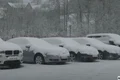 ninsori bosnia captura video jpg