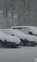 ninsori bosnia captura video jpg