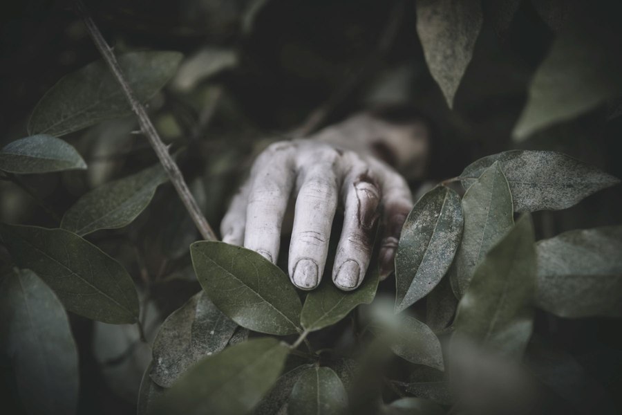 Descoperire macabră în Ploiești. Un cadavru aflat în descompunere și un bărbat cu probleme psihice se aflau într-o locuință din Ploiești