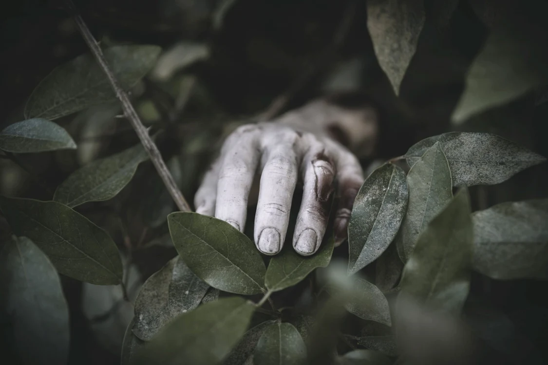 Cadavrul a fost mumificat. FOTO arhivă Feenpik