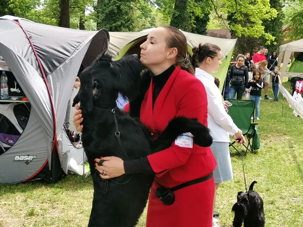 Expo canin la Timișoara FOTO Ștefan Both