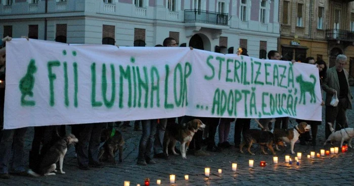 Iubitorii de animale au ieșit în Piața Unirii de Ziua Mondială a Animalelor fără Stăpân
