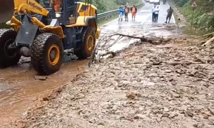 copaci si alunecare de teren transfagarasan foto CNAIR jpg