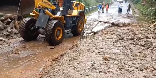 copaci si alunecare de teren transfagarasan foto CNAIR jpg