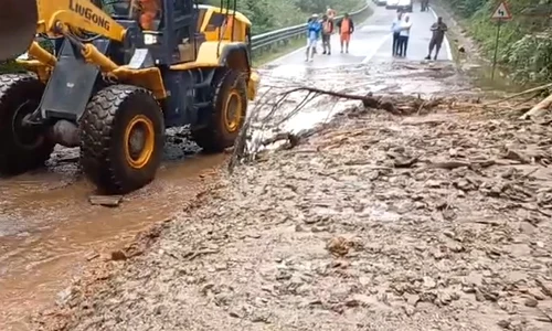 copaci si alunecare de teren transfagarasan foto CNAIR jpg