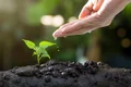 soil 8080788 1280 jpg
