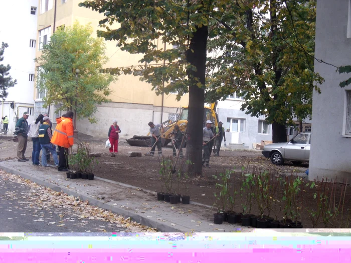 Cartierul Sud se schimbă la faţă