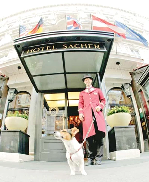 Pentru un supliment de 35$, se bucură de tot confortul