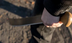 Maceta FOTO Shutterstock