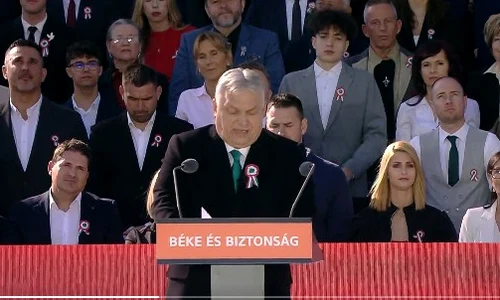 Screenshot 2026 03 15 175948 jpg