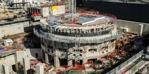 zeci module chineze duse in franta foto x jpg