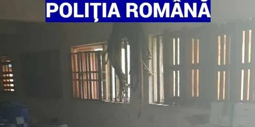 calarasi confiscari