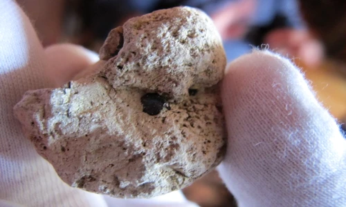 1 80821 original jpg jpeg