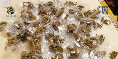 diicotnoiembrie20221 jpeg