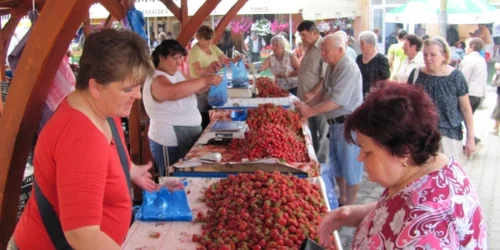 Căpşunile sunt la mare căutare în pieţe 