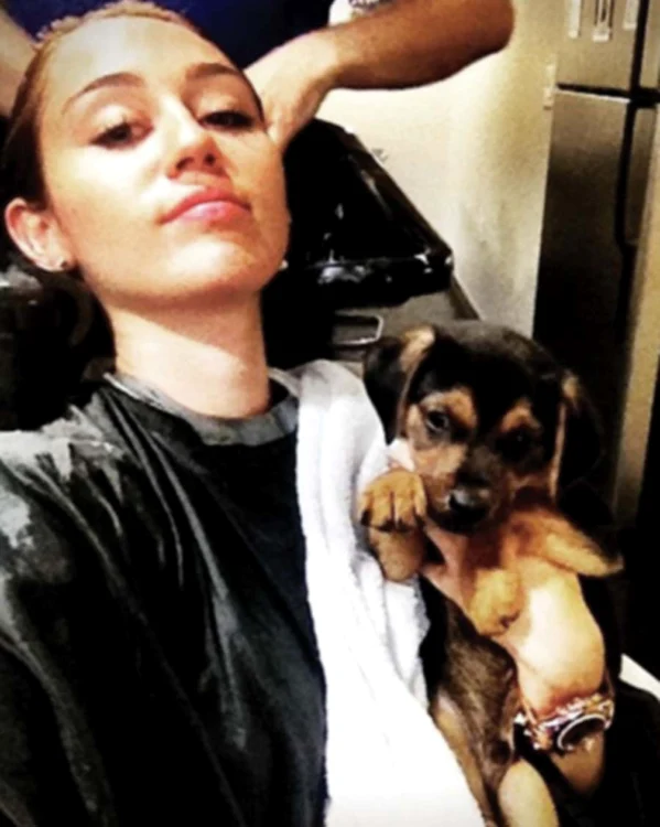 În timp ce era coafată, Hannah îşi ţinea patrupedul în braţe