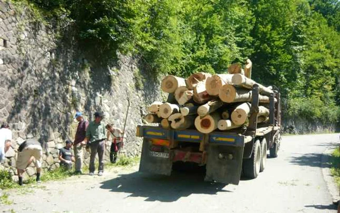 Camionale pline cu lemene strică zilnic drumurile