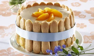 tort crema branza piscoturi jpeg