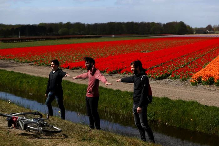 În Olanda, bilanțul deceselor a depășit 10.000