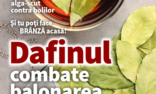 Coperta august 2023 jpg