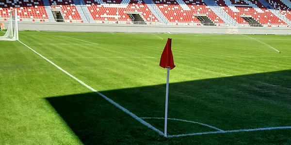 Arena Francisc Neuman jpg