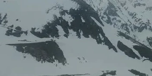 5cc14eb5445219c57eedcd10 jpg