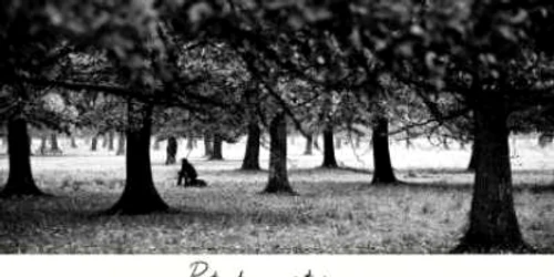 Bistriţa: Împădurire pe muzica lui Alexandru Tomescu