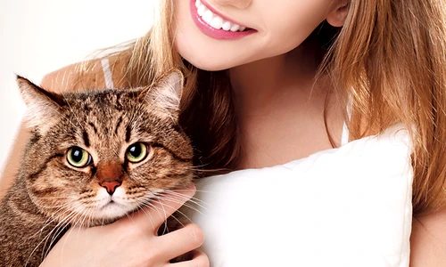 1 68663 original jpg jpeg